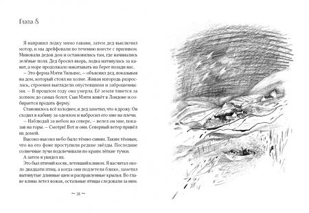 Фотография книги "Джилл Льюис: Лебединая песня"