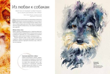 Фотография книги "Джин Хэйнс: Животные акварелью от Джин Хэйнс. Медитативное рисование для контакта с собой и природой"