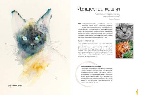 Фотография книги "Джин Хэйнс: Животные акварелью от Джин Хэйнс. Медитативное рисование для контакта с собой и природой"