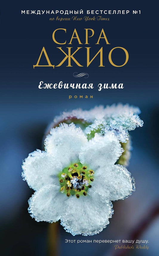 Обложка книги "Джио: Ежевичная зима"