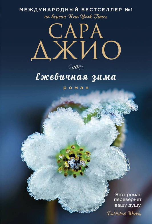 Обложка книги "Джио: Ежевичная зима"