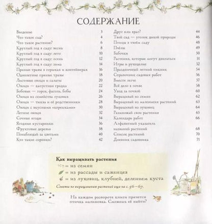 Фотография книги "Джо Элворти: Как вырастить свой сад"
