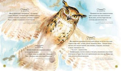 Фотография книги "Джоан Кэтлин: Гарри Поттер. Год с волшебством"