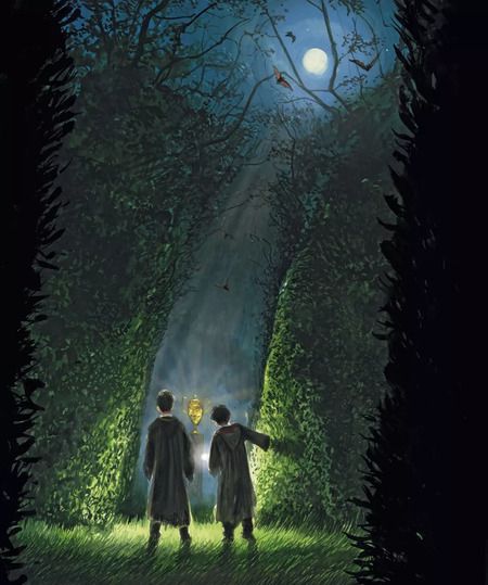 Фотография книги "Джоан Кэтлин: Гарри Поттер и Кубок Огня (с цветными иллюстрациями)"