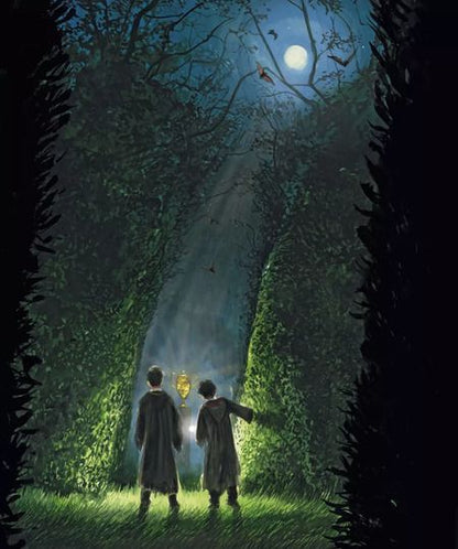 Фотография книги "Джоан Кэтлин: Гарри Поттер и Кубок Огня (с цветными иллюстрациями)"