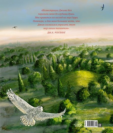 Фотография книги "Джоан Роулинг: Гарри Поттер и Тайная комната"