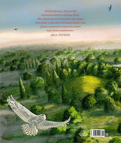 Фотография книги "Джоан Роулинг: Гарри Поттер и Тайная комната"