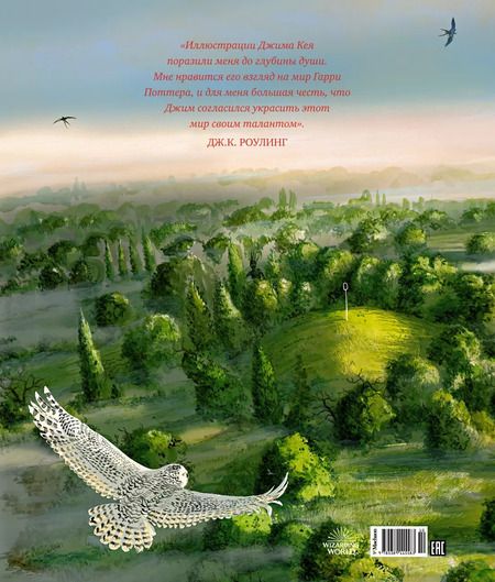 Фотография книги "Джоан Роулинг: Гарри Поттер и Тайная комната"