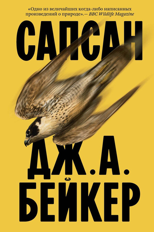 Обложка книги "Джон Алек: Сапсан"