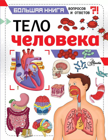 Обложка книги "Джон Фарндон: Тело человека"