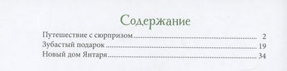 Фотография книги "Джон Пейшенс: Пейшенс Дж. Путешествие с сюрпризом"