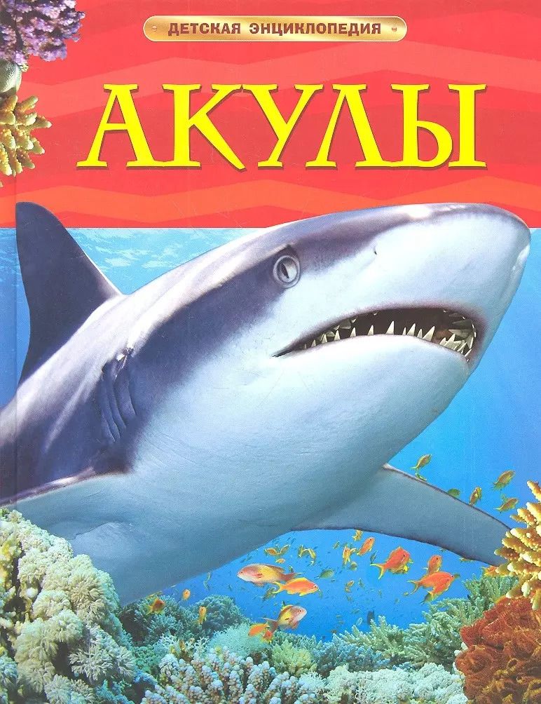 Обложка книги "Джонатан Шейх-Миллер: Акулы"