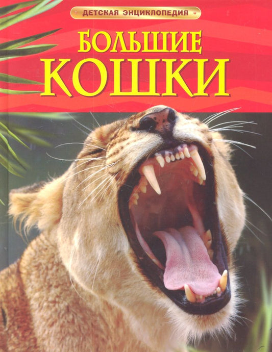 Обложка книги "Джонатан Шейх-Миллер: Большие кошки."