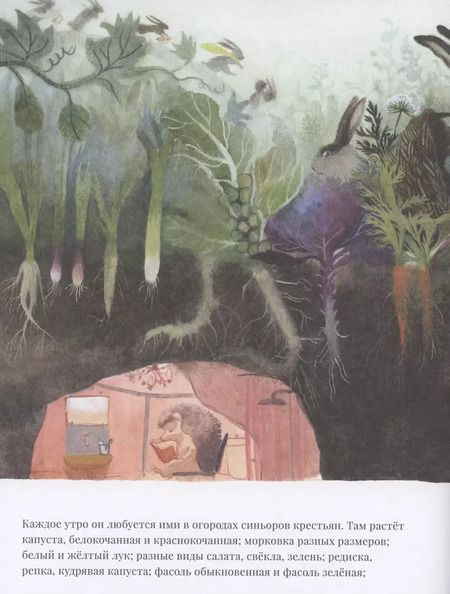 Фотография книги "Джованна Дзоболи: Суп синьора Лепрона"