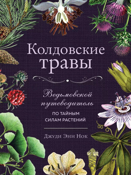 Обложка книги "Джуди Энн: Колдовские травы. Ведьмовской путеводитель по тайным силам растений"