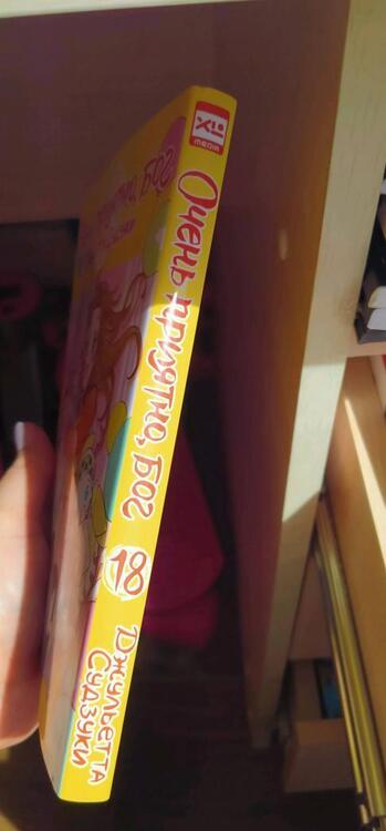 Фотография книги "Джульетта Судзуки: Очень приятно, бог. Том 18"