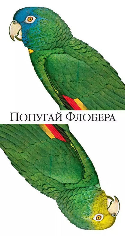Обложка книги "Джулиан Барнс: Попугай Флобера"