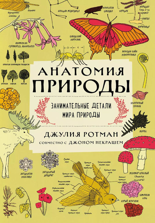 Обложка книги "Джулия Ротман: Анатомия природы. Занимательные детали мира природы"