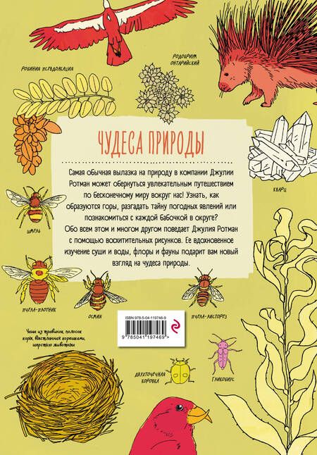Фотография книги "Джулия Ротман: Анатомия природы. Занимательные детали мира природы"