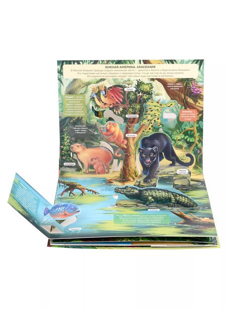 Фотография книги "Джунгли. Книжка панорамка"