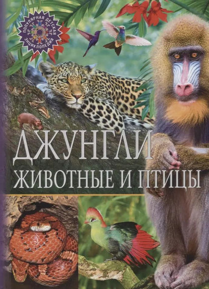 Обложка книги "Джунгли.Животные и птицы"