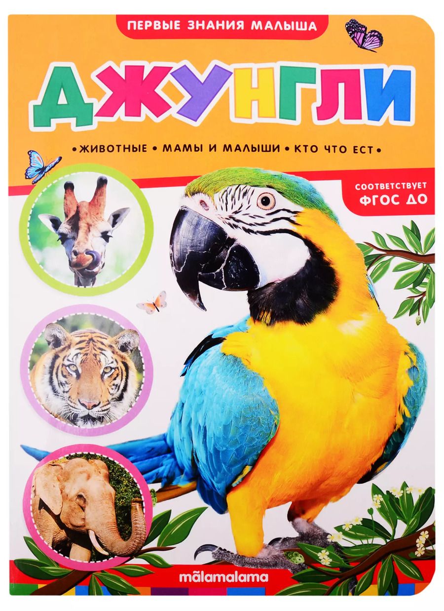 Обложка книги "Джунгли"