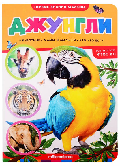 Обложка книги "Джунгли"