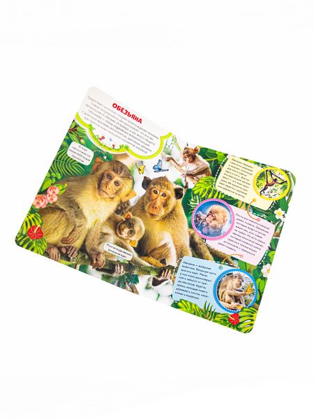 Фотография книги "Джунгли"