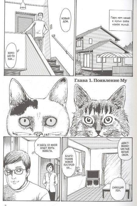 Фотография книги "Дзюндзи Ито: Кошачий дневник "