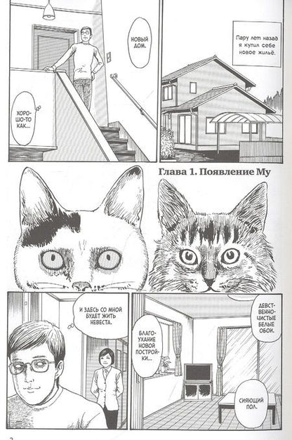 Фотография книги "Дзюндзи Ито: Кошачий дневник "