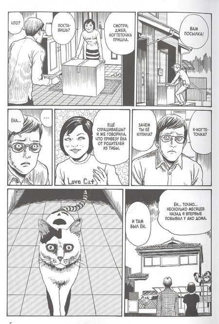 Фотография книги "Дзюндзи Ито: Кошачий дневник "