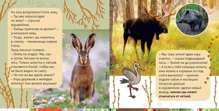 Фотография книги "Э. Наставник: Комплект "Окошко в мир" (комплект из 5 книг)"