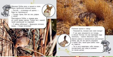 Фотография книги "Э. Наставник: Комплект "Окошко в мир" (комплект из 5 книг)"