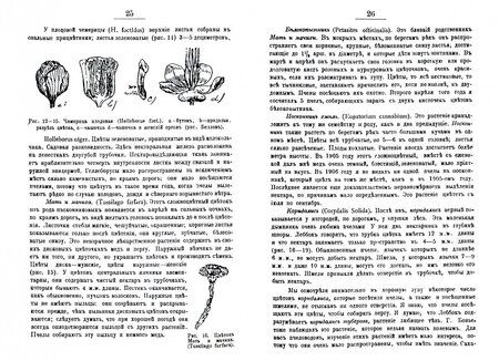 Фотография книги "Э. Вахъ-Гай: Цветы и пчелы"