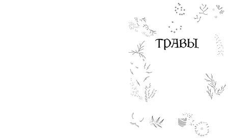 Фотография книги "Эбони Георге: Травы. Магические запасы. Иллюстрированное руководство по сбору и заготовке волшебных растений, их полезным свойствам и сезонным ритуалам"