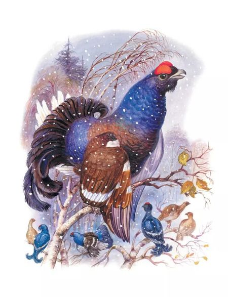 Фотография книги "Эдуард Шим: Сказки о зверятах"