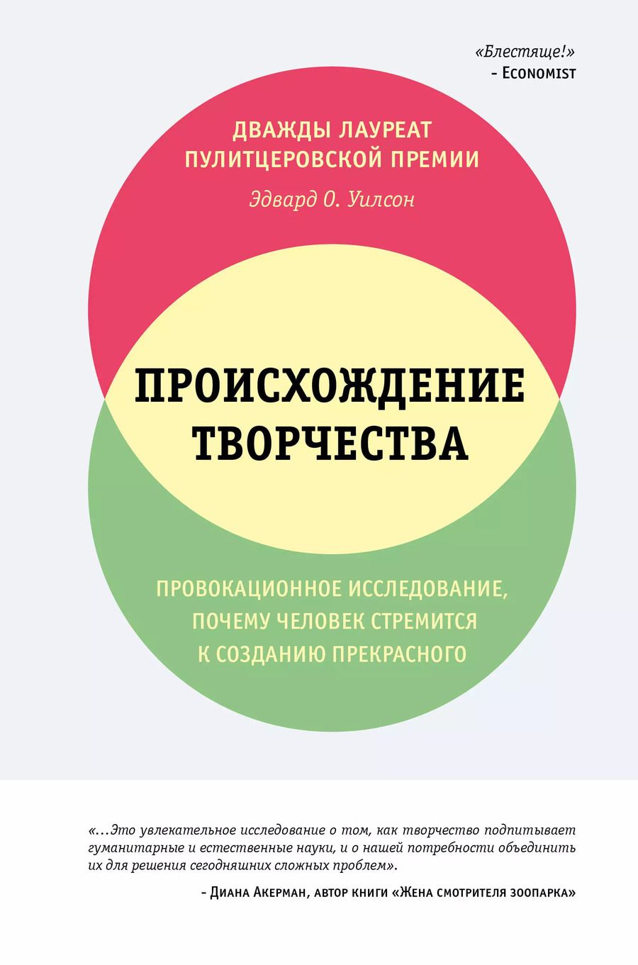 Обложка книги "Эдвард Осборн: Происхождение творчества. Провокационное исследование, почему человек стремится к созданию прекрасного"