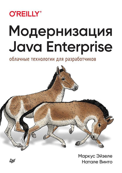 Обложка книги "Эйзеле, Винто: Модернизация Java Enterprise. Облачные технологии для разработчиков"