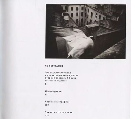 Фотография книги "Эхо экспрессионизма"