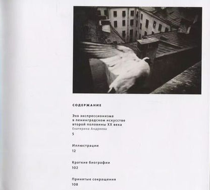 Фотография книги "Эхо экспрессионизма"