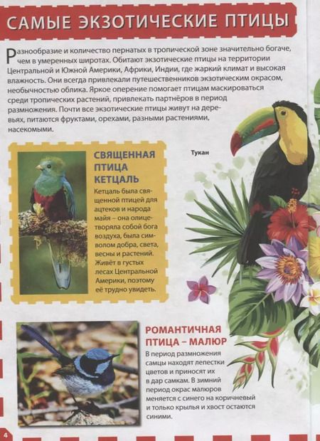 Фотография книги "Экзотические птицы"