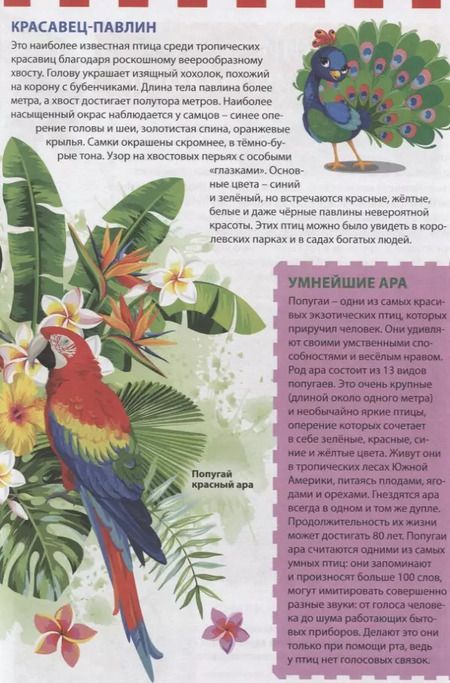 Фотография книги "Экзотические птицы"