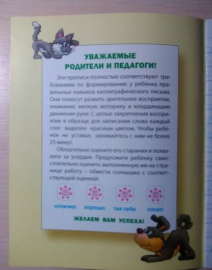 Фотография книги "Элементы букв и цифр"