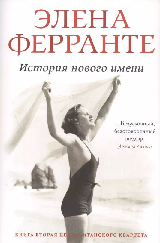 Обложка книги "Элена Ферранте: История нового имени"