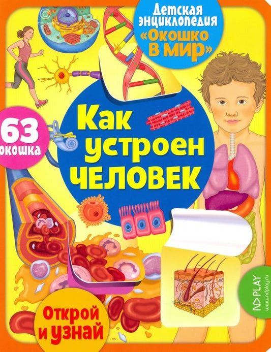 Обложка книги "Элеонора Барсотти: Окошко в мир. Как устроен человек"