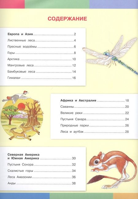 Фотография книги "Элеонора Барсотти: Царство животных. Моя первая энциклопедия с наклейками"