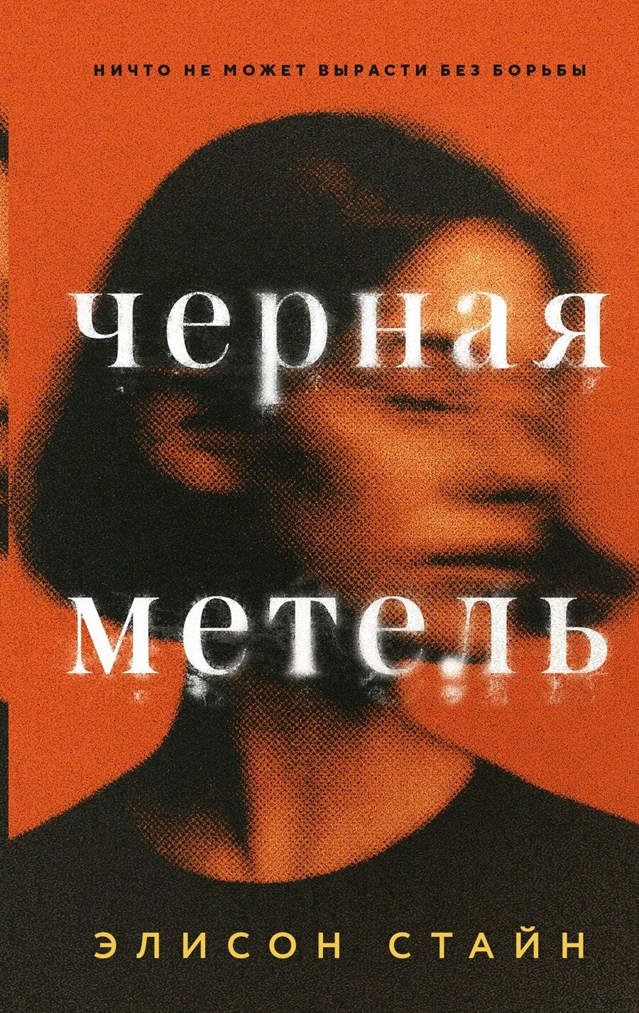 Обложка книги "Элисон Стайн: Черная метель"