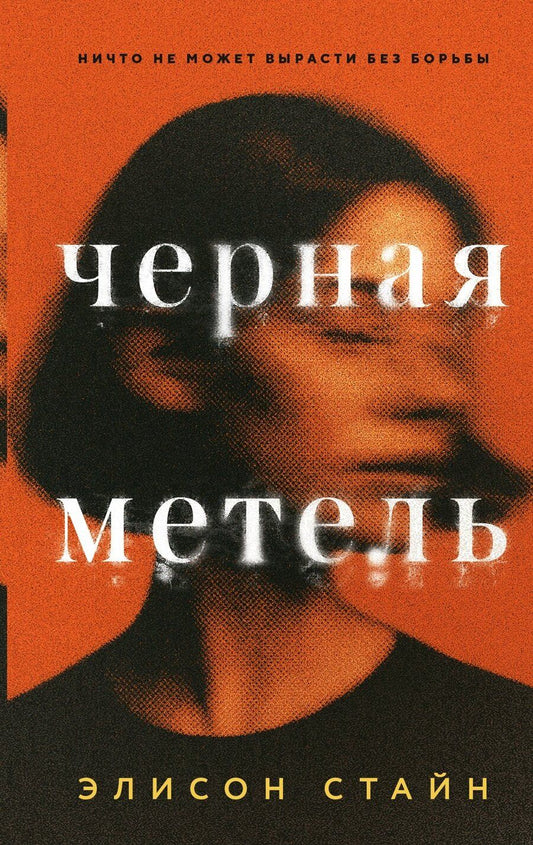 Обложка книги "Элисон Стайн: Черная метель"