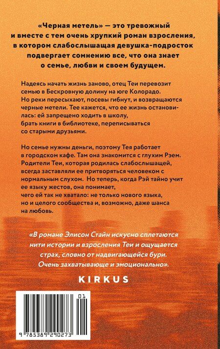 Фотография книги "Элисон Стайн: Черная метель"