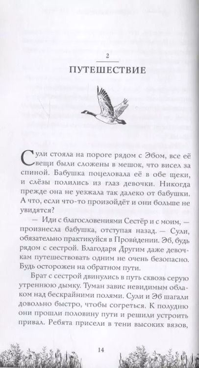 Фотография книги "Элизабет Форест: Третий вид магии. Ученица ворона"
